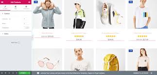 Build Profitable E-Commerce Stores with WordPress & Woostify